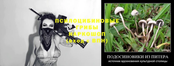 стафф Алзамай