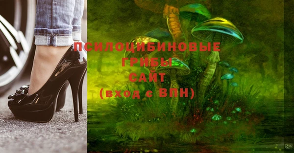 стафф Алзамай