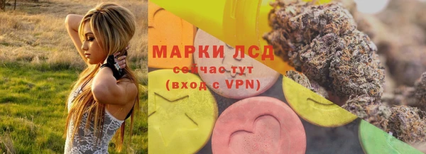 стафф Алзамай
