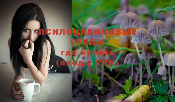 a pvp Алексин