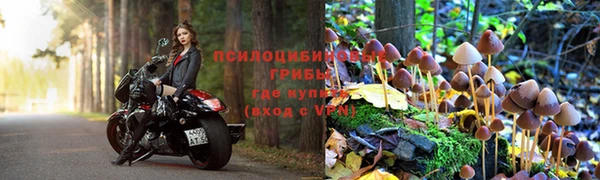 стафф Алзамай
