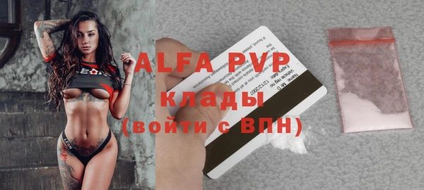 стафф Алзамай